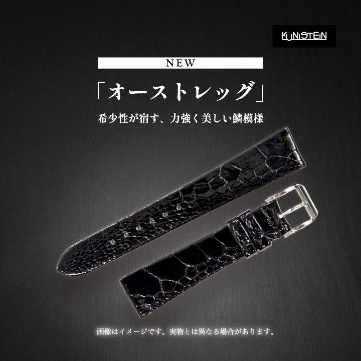 Kunistein オーストレッグセンター ブラック