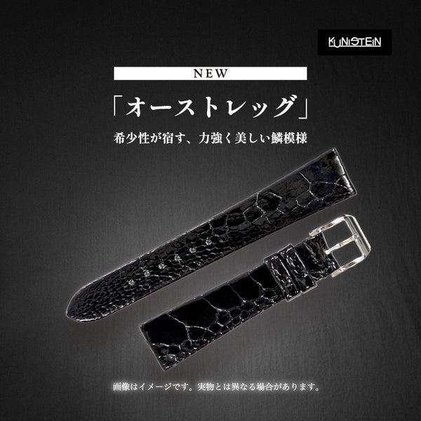 Kunistein オーストレッグセンター ブラック
